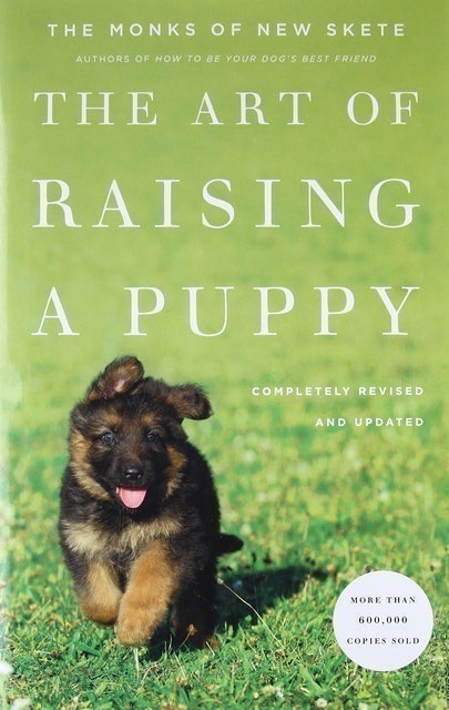 The Art of Raising a Puppy 1