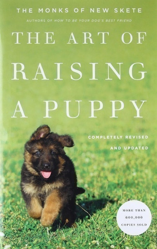 The Art of Raising a Puppy 1