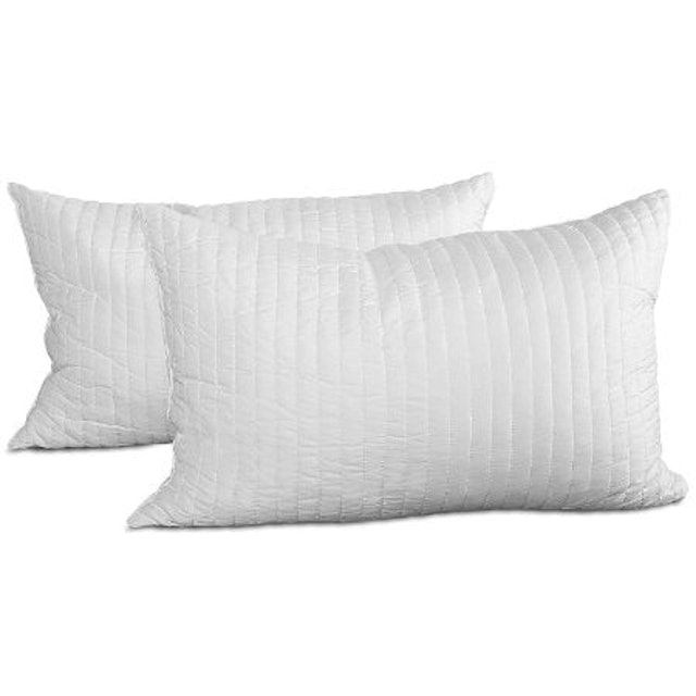Shredded Memory Foam Pillows 1