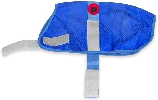 Summer Dog Coat 2