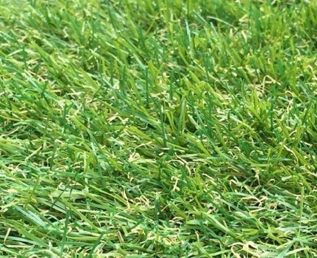 10 Best Artificial Grass for the Garden UK 2024 | Authentic Look and Feel, Mould Resistant and More 3