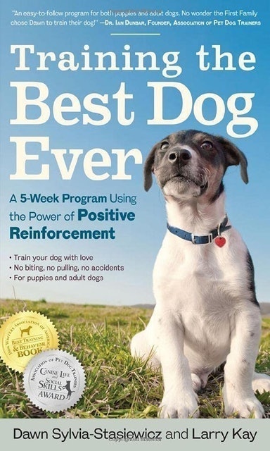 Training the Best Dog Ever 1