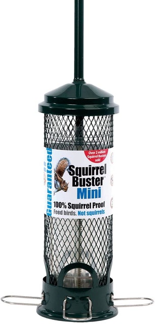 10 Best Squirrel-Proof Bird Feeders UK 2024 1