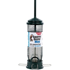Squirrel Buster Squirrel Proof Bird Feeder Mini