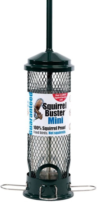 Squirrel Buster Squirrel Proof Bird Feeder Mini 1