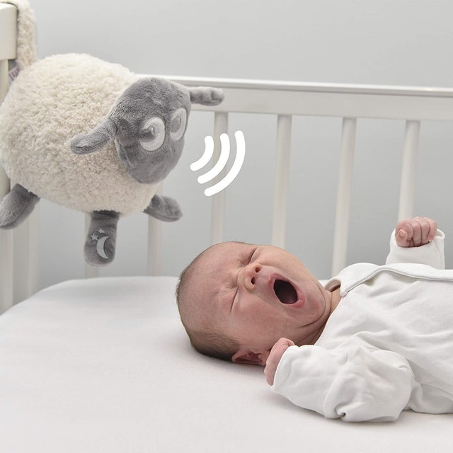 Ewan The Dream Sheep  2