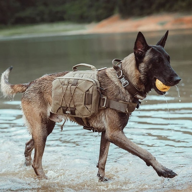 Tactical Outdoor Dog Harness 3