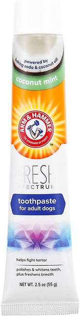 10 Best Dog Toothpastes 2024 | UK Veterinary Surgeon Reviewed 4