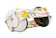 EciPeci Fabric Ear Defenders 1