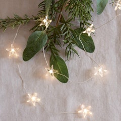 5. Lights4fun Star Micro Fairy Lights