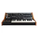 Moog Subsequent 25 1