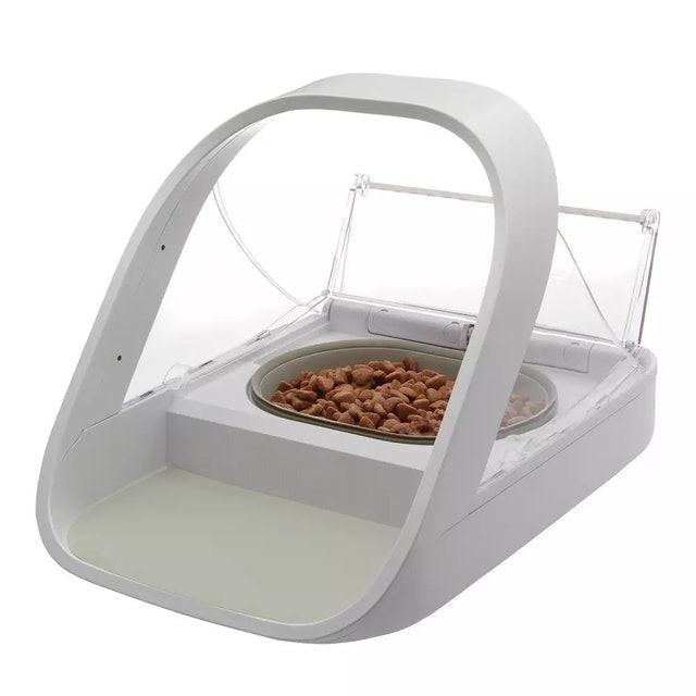10 Best Cat Bowls UK 2024 | Ceramic, Stainless Steel and Tilted Bowls 2