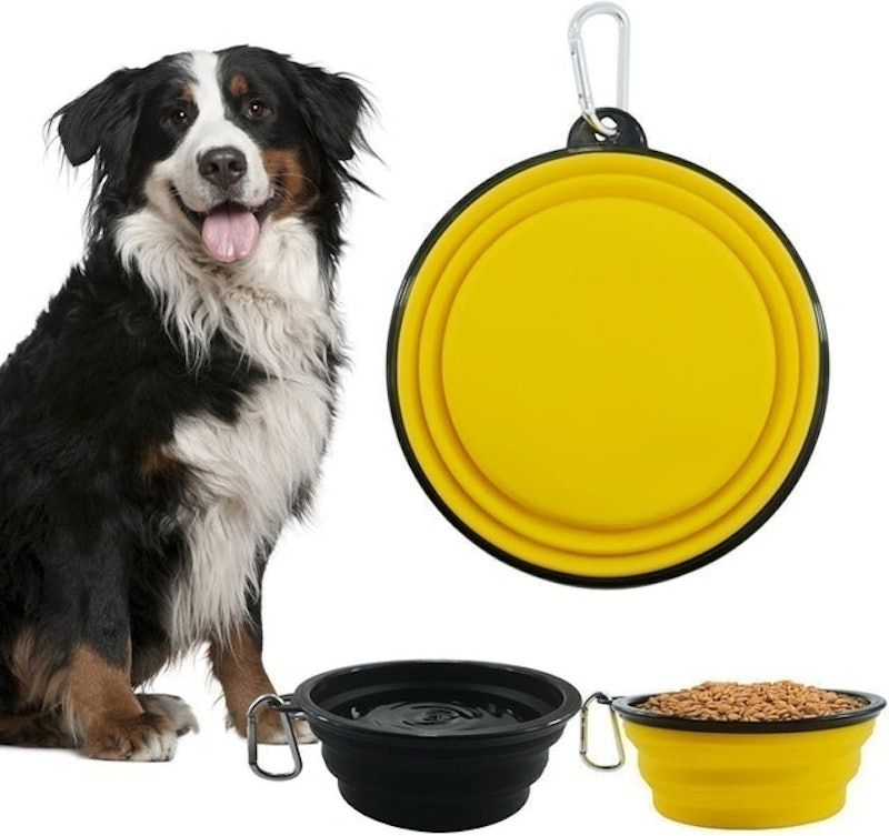 Foldable Pet Bowl 2