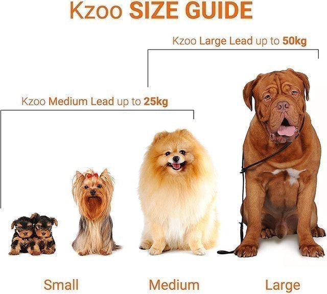 5m Retractable Dog Lead for Digs Under 15 kg  2