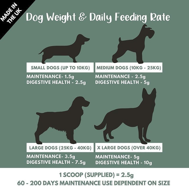 Probiotics For Dogs 5