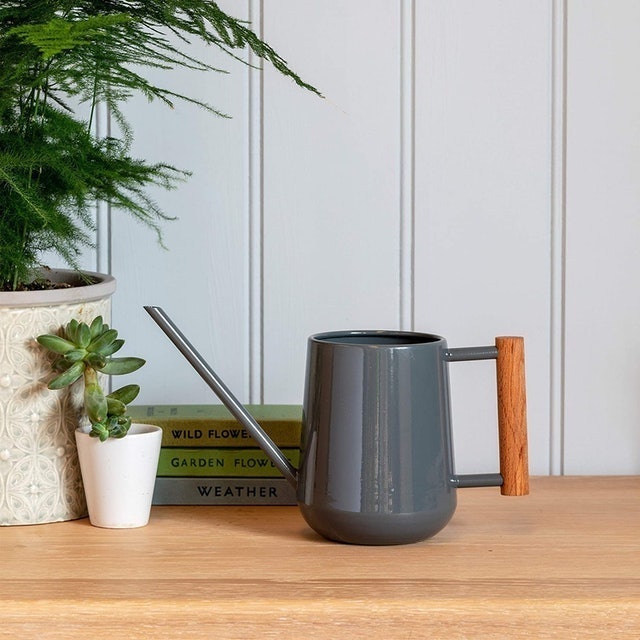 Indoor Watering Can 2