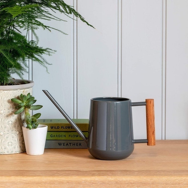 Indoor Watering Can 2