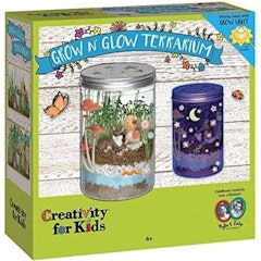 Grow 'N' Glow Terrarium