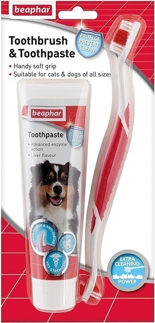 10 Best Toothbrushes for Dogs UK 2024 5