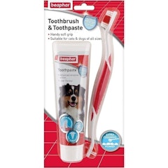 Toothbrush & Toothpaste Kit