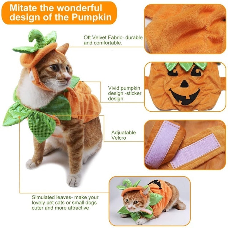 Halloween Pumpkin Outfit 2