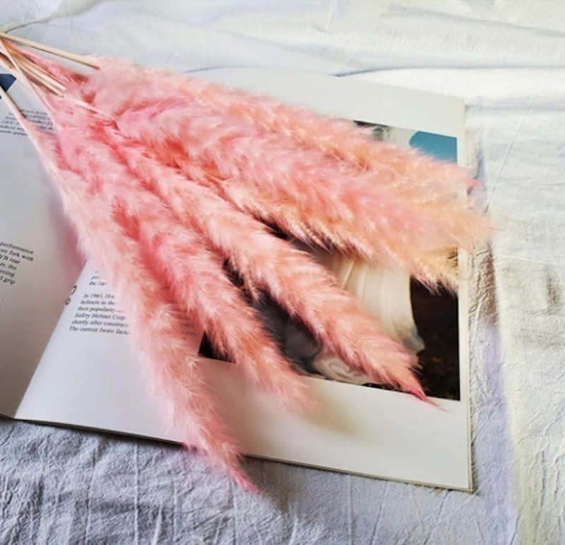 Dried Pampas Grass 2