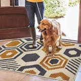 10 Best Door Mats UK 2024 4