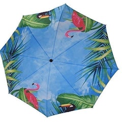 Bright Coloured Parasol