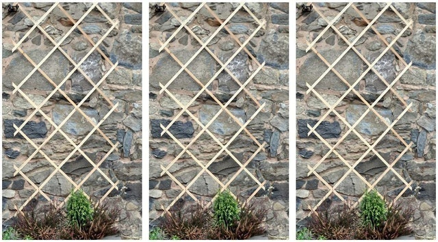 Expanding Wooden Trellises 1