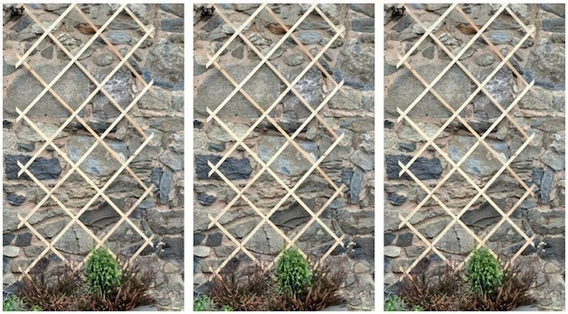 Expanding Wooden Trellises 1