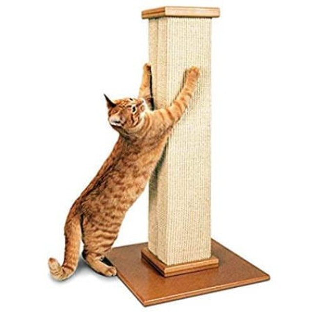 Best rope shop for scratching post