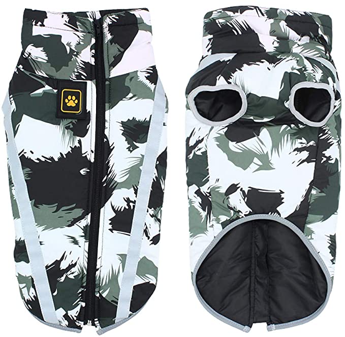 10 Best Dog Coats UK 2024 4