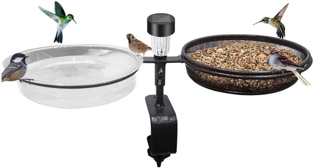 Metal Clamp Bird Feeding and Bathing Station 1