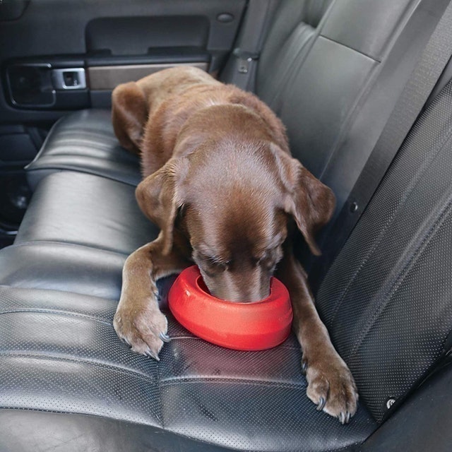 No Spill Travel Bowl 2