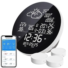 Thermometer and WiFi Weather Station