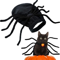 Halloween Spider Costume
