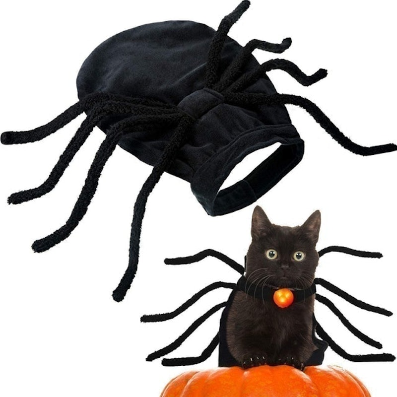 Halloween Spider Costume 1