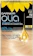 Garnier Olia Permanent Hair Colour 1