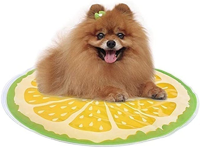 Fruit Ice Cool Pad 2
