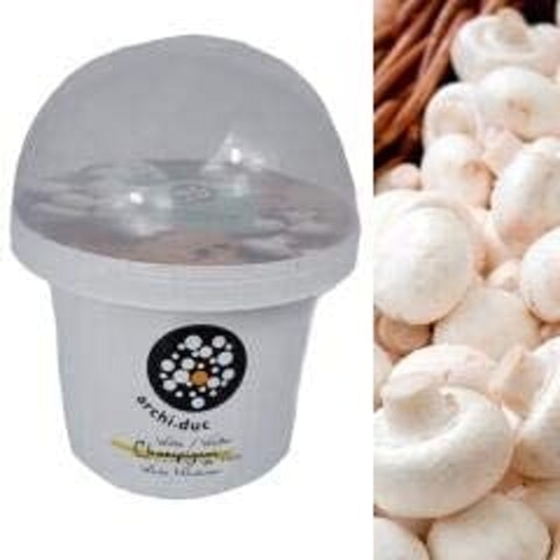 White Button Mushroom Grow Kit 3