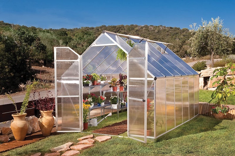 Essence Silver Greenhouse 2