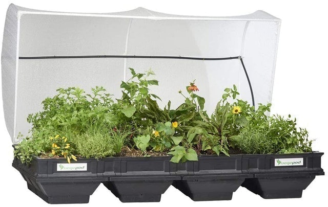 10 Best Raised Garden Beds UK | VegTrug Vegepod and More 3