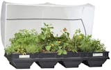 10 Best Raised Garden Beds UK | VegTrug Vegepod and More 3