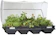 Vegepod Self-Watering Planter 1
