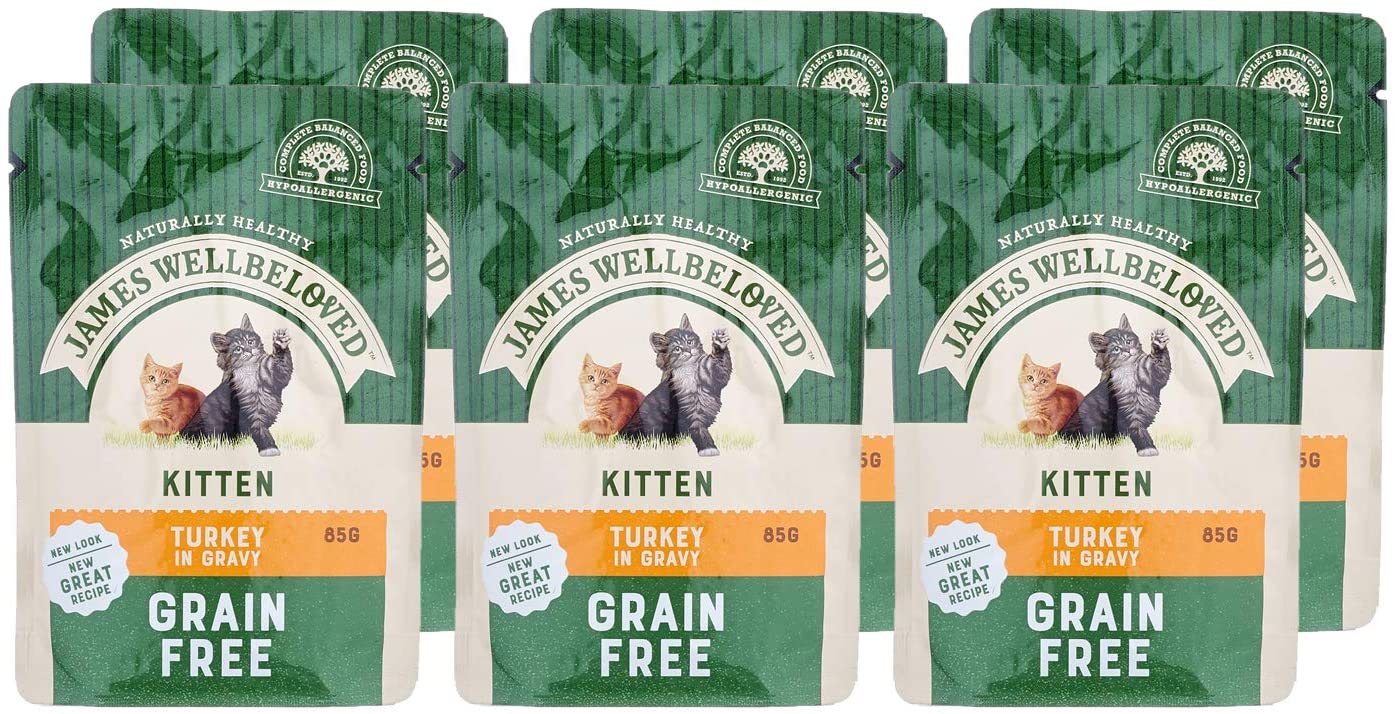 Kitten Food 1