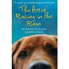 The Art of Racing in the Rain