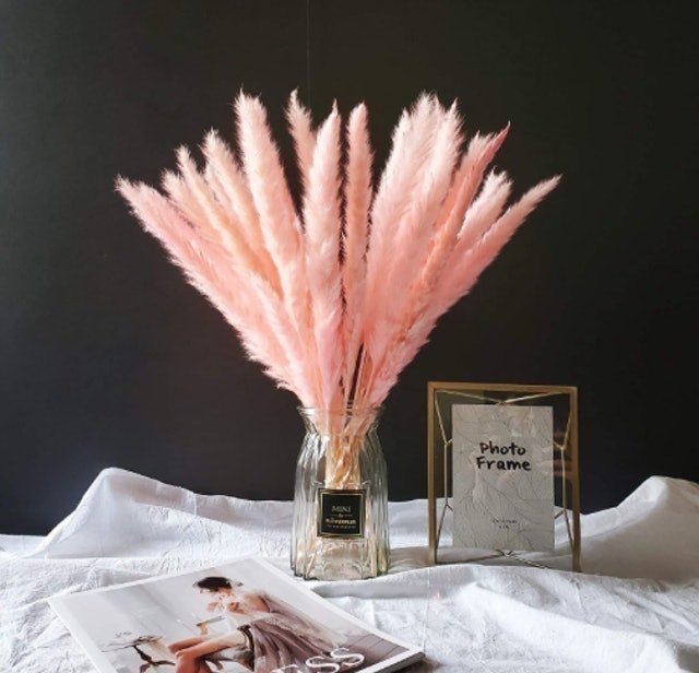 Dried Pampas Grass 1