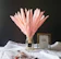 Beau Jour Dried Pampas Grass 1