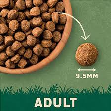Complete Dry Dog Food Lamb & Rice 4