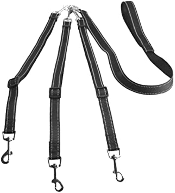 3 Dog Lead 3